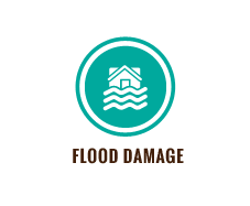 Flood Damage Icon